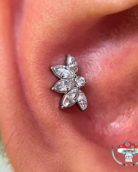 Trabalho: conch