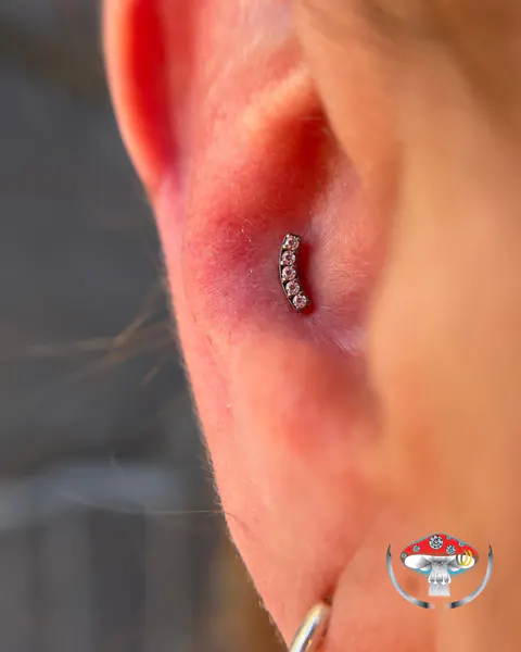 Trabalho: conch cluster