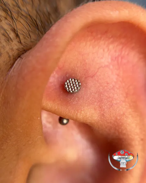 Trabalho: rook chapinha